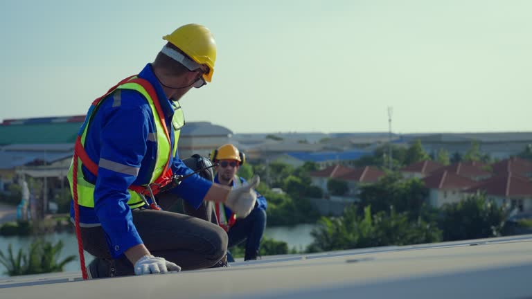 Best Skylight Installation and Repair  in Venersborg, WA